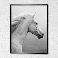 Постер Дихання свободи з чорною рамкою 75x100 см Brushme FNK5000153_RN45-17 Постер Дихання свободи з чорною рамкою 75x100 см Brushme FNK5000153_RN45-17