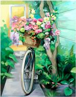 Раскраска по контурам Велосипед Rosa Start