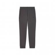Брюки Puma PUMATECH Pants DK cl 68460144 р. L серый