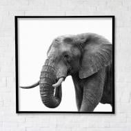 Постер Мудрый путь с черной рамкой 80x80 см Brushme FNK5000162_RN45-21 Постер Мудрый путь с черной рамкой 80x80 см Brushme FNK5000162_RN45-21