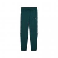 Брюки Puma ESS TAPE SWEATPANTS FL CL 68467975 р. L зеленый
