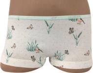 Трусы для девочки Bibo р.92 разноцветный 12166