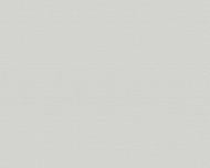 Обои виниловые на флизелиновой основе A.S. Creation Trendwall 37121-3 0,53x10,05 м