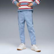 Брюки Puma EVOSTRIPE PANTS DK B 68886434 р. 176 синий