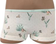 Труси для дівчинки Bibo р.140 різнокольоровий 12166