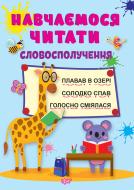 Книга Анастасія Фісіна «Навчаємося читати. Словосполучення» 978-617-524-044-1