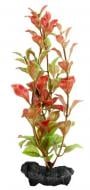 Рослина акваріумна Tetra RED LUDWIGIA DecoArt Plant L