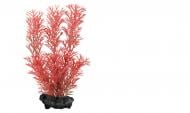 Растение аквариумное Tetra RED FOXTAIL DecoArt Plant L