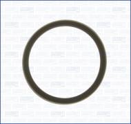 Прокладка термостата VOLVO V40; CITROEN JUMPER; FORD FIESTA, FOCUS 1.0-3.0D 07.95- (975700 AJUSA)