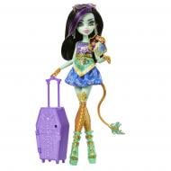 Кукольный набор Monster High "Ужас какие секреты Джинафаер" серии "Кошмарные каникулы" JDR52