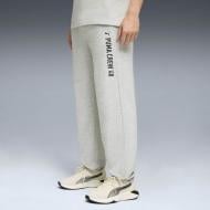 Штани Puma M GRAPHIC FRENCH TERRY JOGGER 52770304 р. M сірий
