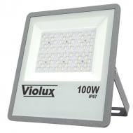 Прожектор світлодіодний Violux HERMES 100 Вт IP67 сірий 410102