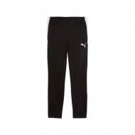 Штани Puma INDIVIDUALLIGA TRAINING PANTS 65951709 р. S синій