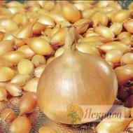 Насіння Яскрава цибуля Голіант 500 г (4823069915704)