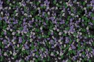 Мозаичная штукатурка Siltek Decor Silicon Mosaic 5021 25 кг Мозаичная штукатурка Siltek Decor Silicon Mosaic 5021 25 кг