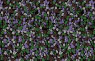 Мозаичная штукатурка Siltek Decor Silicon Mosaic 5026 25 кг