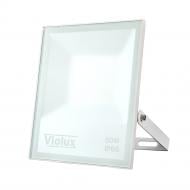 Світильник світлодіодний Violux LED NORD SMD 6000K 4750lm 50 Вт IP65 білий 400112