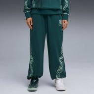 Брюки Puma Hoops x Harry Potter Sweat 63311201 р. XL зеленый