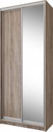 Шкаф-купе Стандарт VIP-master ДСП 1000x450x2400 мм дуб сонома трюфель двери / ДСП/зеркало