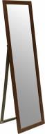 Зеркало ЭЗ-00204 49х169 см