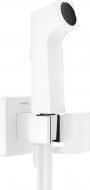 Гигиенический душ Hansgrohe HANSGROHE E 29231700