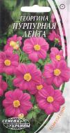 Насіння Насіння України жоржина Пурпурна стрічка 0,3 г