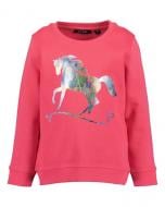 Реглан для дівчинки Blue Seven р.128 фламінго 764674 X*