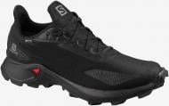 Кроссовки мужские демисезонные Salomon ALPHACROSS BLAST GTX L41105300 р.46 черные