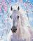 Картина за номерами Преміум Кінь в квітах сакури PBS8528 40x50 см Brushme  - фото 7086072