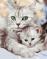 Картина за номерами Мама кішка з котеням PBS52689 40x50 см Brushme  - фото 6964370