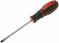 Викрутка EXPERT tools SL5×100 мм FL-1956-10