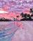 Картина за номерами Преміум Рожевий захід PBS28241 40х50 см Brushme  - фото 7011872
