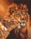 Картина по номерам Влюбленные львы BS7279 40x50 см Brushme