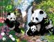 Картина по номерам Счастливые панды 35х45 см Rosa Start