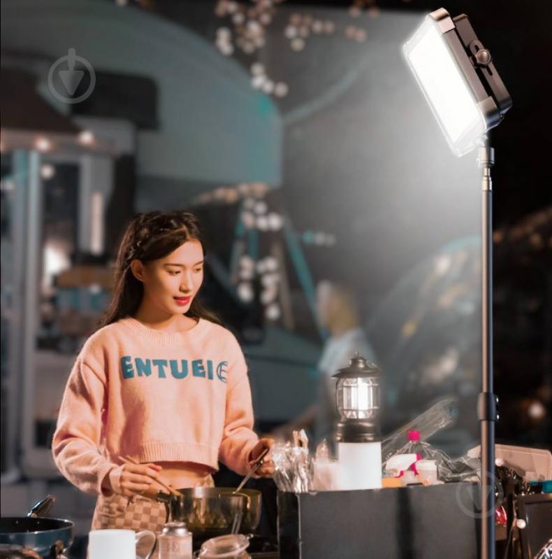 Лампа блогера RTAKO AR-GTB600T Multi-Function Charging Panel Light (6942063213918) - фото 4