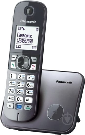 Телефон Panasonic KX-TG6811UAM Metallic - фото 1