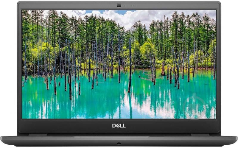 Ноутбук Dell Latitude 3410 14 (N012L341014UA_UBU) black - фото 10