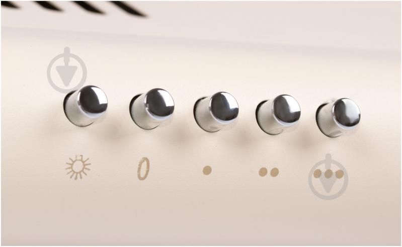 Вытяжка Wild Wind EH 60 IVORY - фото 4