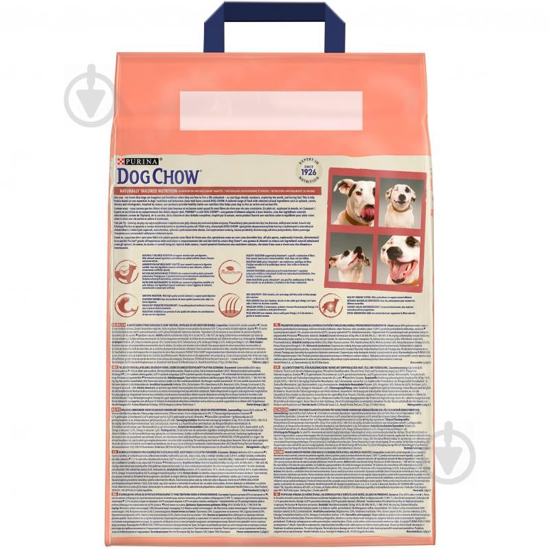 Корм сухий для усіх порід Purina Dog Chow з лососем 2,5 кг - фото 2