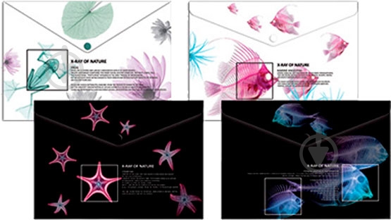 Папка-конверт O35208 Optima - фото 1