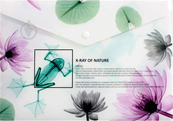 Папка-конверт O35208 Optima - фото 4