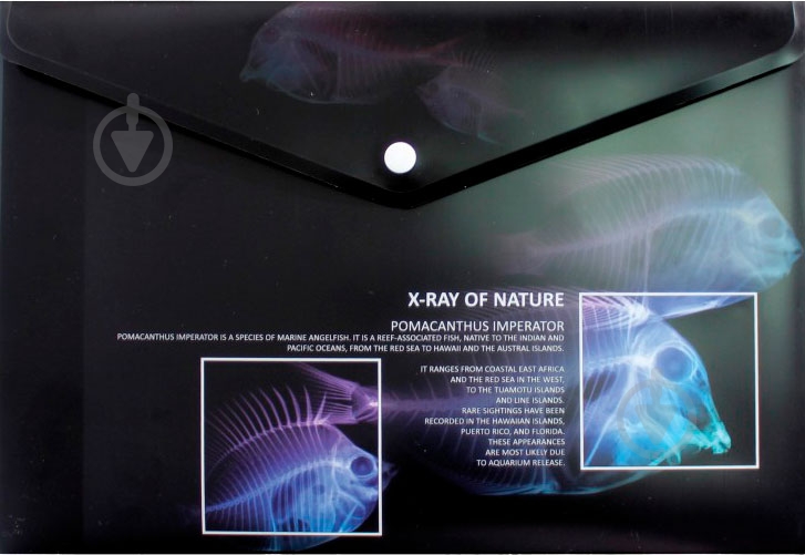 Папка-конверт O35208 Optima - фото 7