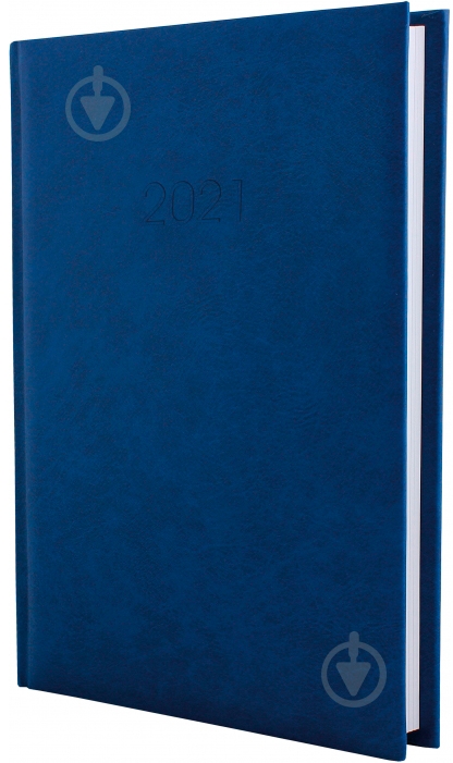 Дневник датированный синий линия Economix Algora A5 2021 E21689-02 - фото 1