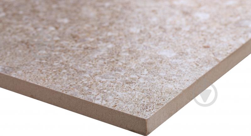 Плитка Crystal Light beige F P R Mat 60x120 см - фото 4