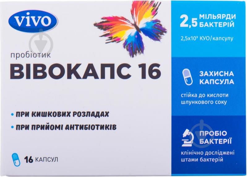 Вивокапс 16 №16 (8х2) киш./розч капсулы - фото 1 Вивокапс 16 №16 (8х2) киш./розч капсулы - фото 1