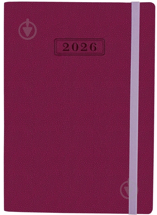 Дневник датированный Optima Namib A5 2026 O25205-18 бордовый - фото 1