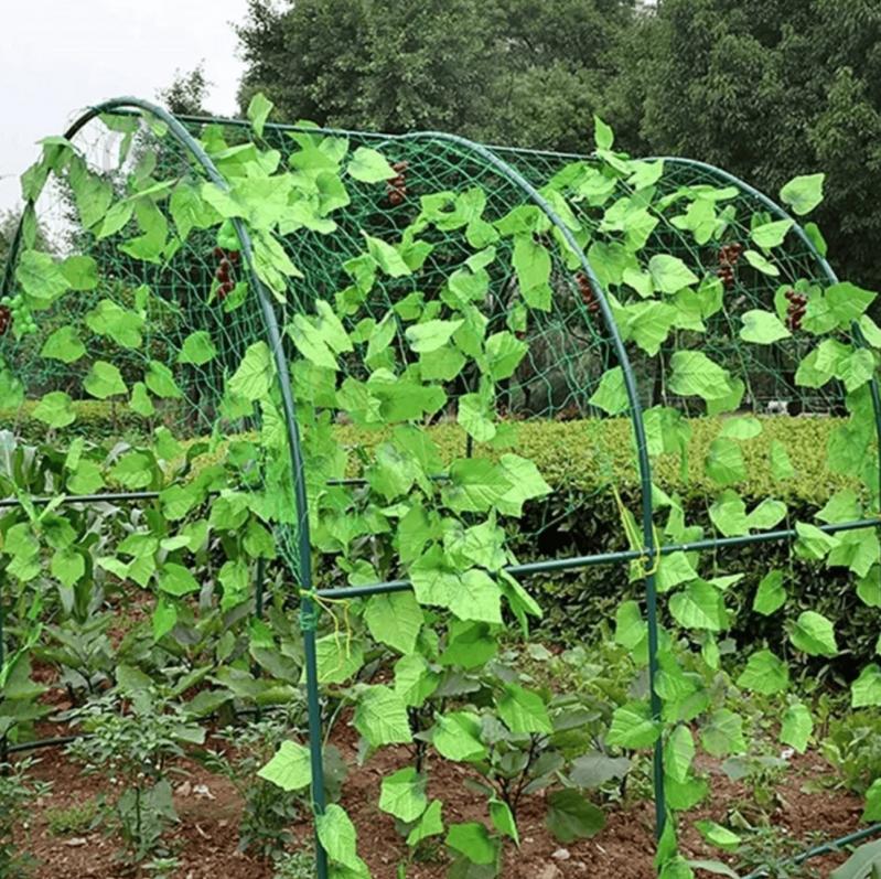 Сетка шпалерная Agreen для огурцов 1,7 м х10 м - фото 5 Сетка шпалерная Agreen для огурцов 1,7 м х10 м - фото 5
