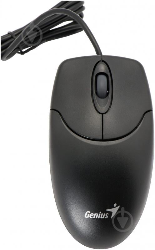 Мышь Genius NS 120 USB G5 (31011293109) black - фото 1