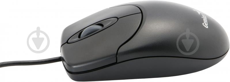 Мышь Genius NS 120 USB G5 (31011293109) black - фото 2