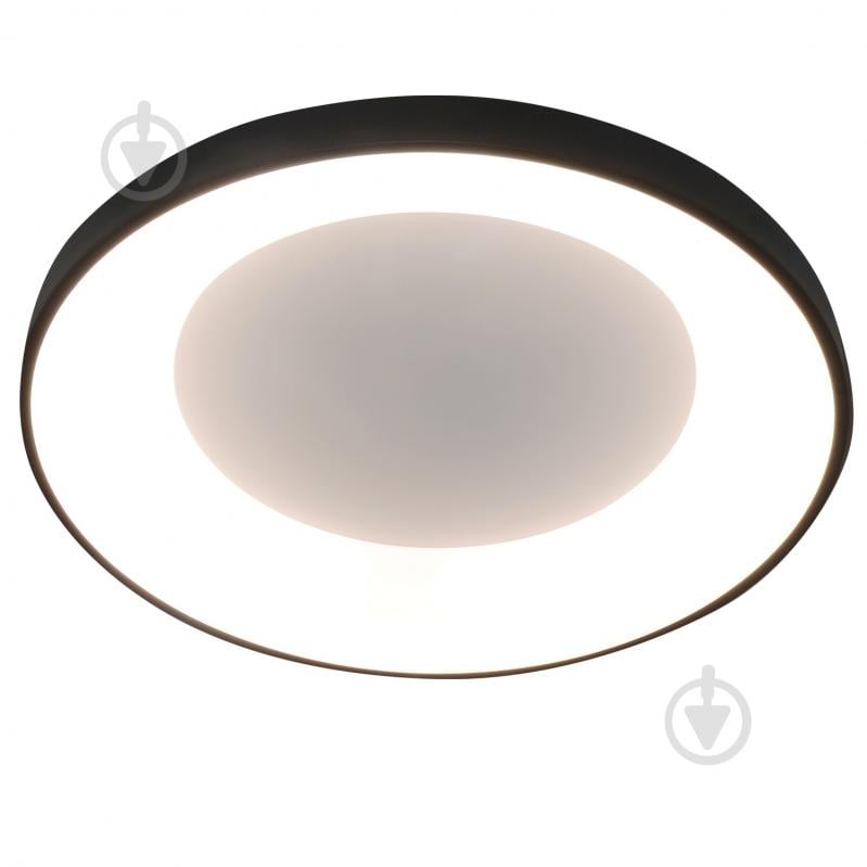 Світильник світлодіодний Victoria Lighting з пультом 65 Вт чорний Leaf/PL500 black - фото 1